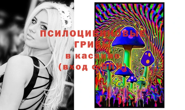 дмт Вязники