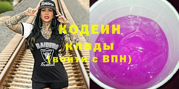 амф Горняк