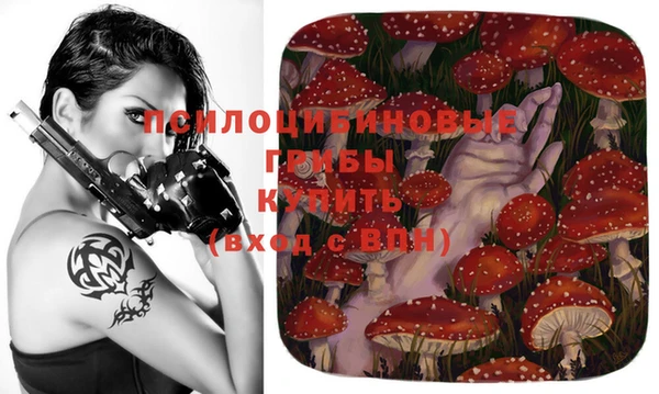 а пвп мука Вяземский
