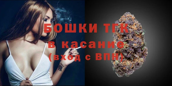 амф Горняк