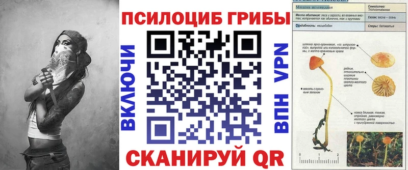 Купить закладки  Любим  Галлюциногенные грибы GOLDEN TEACHER 